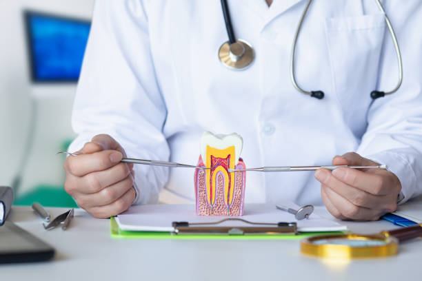 Best Broken or Cracked Tooth Emergency Dentist in Sea Breeze, NC